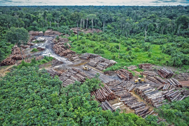 Illegally logging camp on Pirititi indigenous amazon lands on Ma
