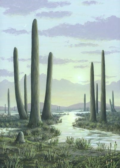 skorp18